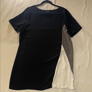 🖤🤍 Eileen Fisher Petite Silk Color Block Shift Dress PL